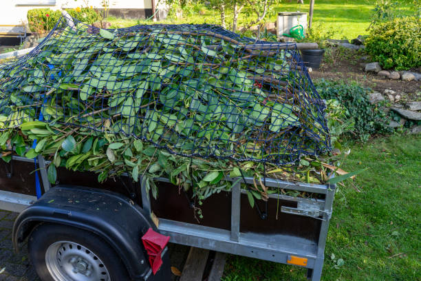 Best Shed Removal  in Wanaque, NJ